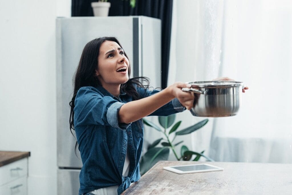 Water Leak Repair Spanaway