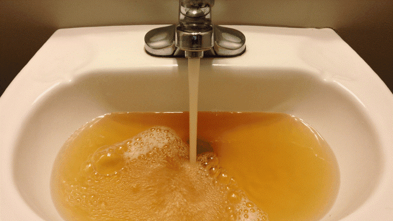 Drain cleaning and repair in Federal Way