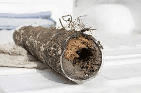 Sewer Line Replacement Service