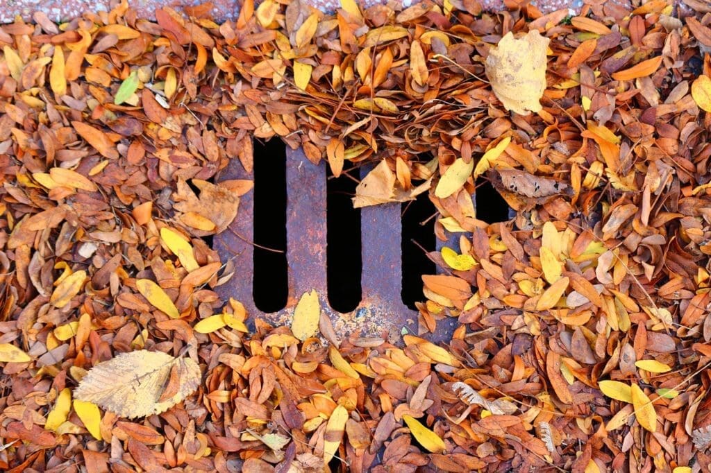 drain sewer